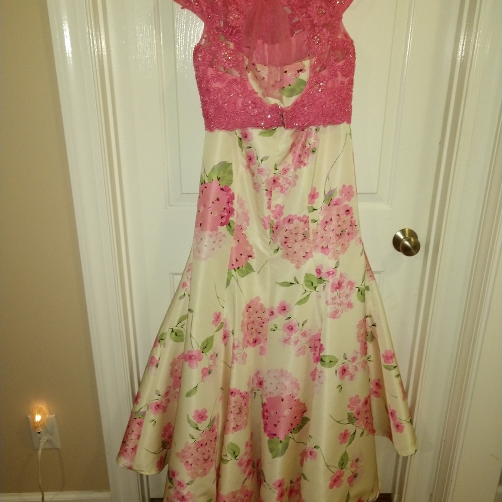 Prom Dress - Picture 4 of 6